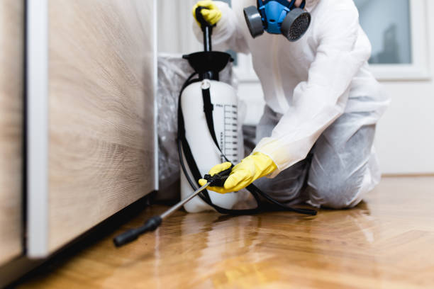 Best Emergency Pest Control  in Geva, NE