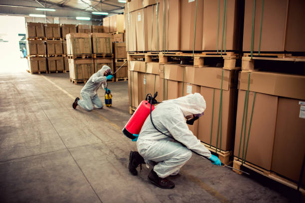 Best Local Pest Control Services  in Geva, NE