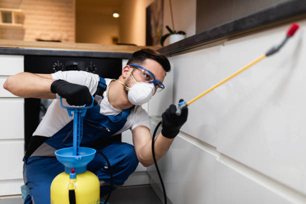 Best Cockroach Control Services  in Geva, NE