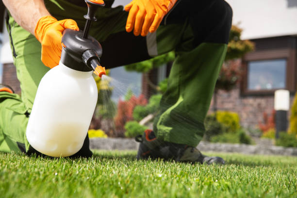 Best Termite Control Services  in Geva, NE