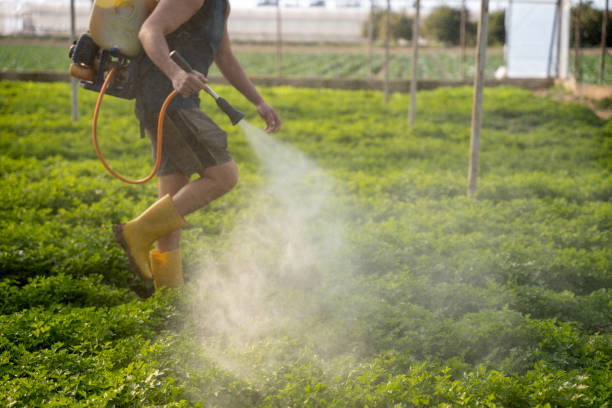 Best Best Pest Control Companies  in Geva, NE