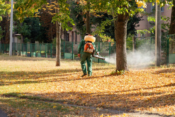 Best Pest Removal Services  in Geva, NE