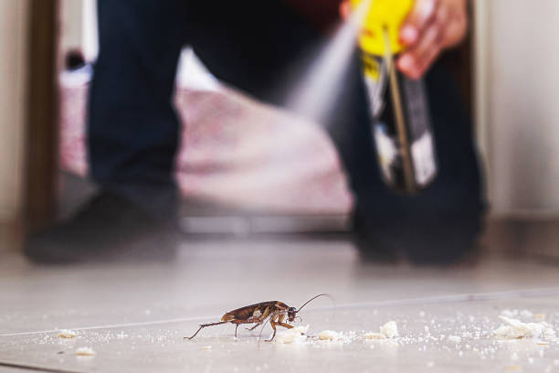 Best Pest Control Near Me in Geneva, NE